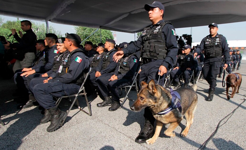 Jubila la Policía Federal a 20 oficiales caninos