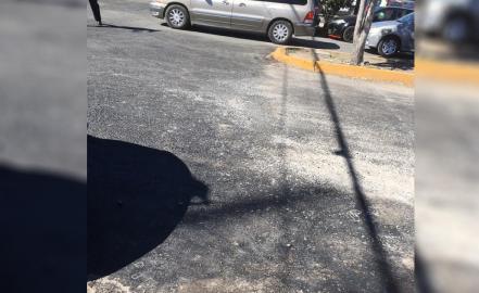 Bachean avenida previo a informe del Poder Judicial