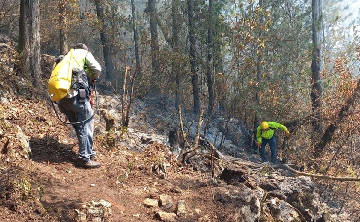 Reportan nueve incendios forestales activos en SLP. Foto: Especial