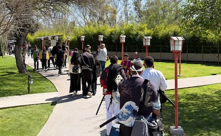 Llega el Festival Tanabata en el jardín Japonés del Tangamanga; un espacio de cultura y convivencia familiar