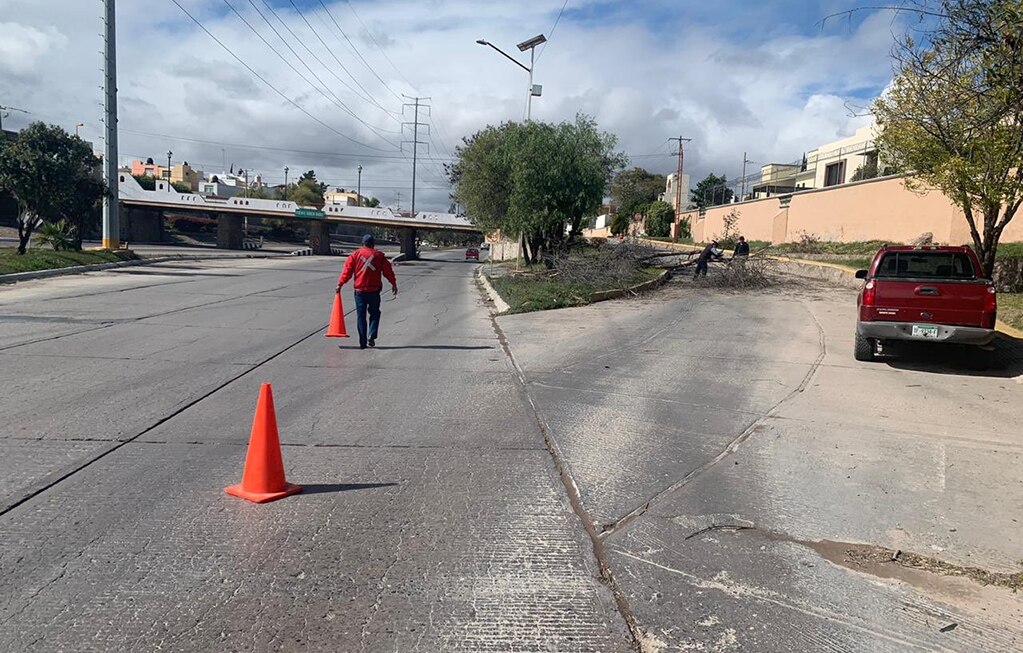SEDUVOP realiza acciones de mantenimiento en vialidades de SLP