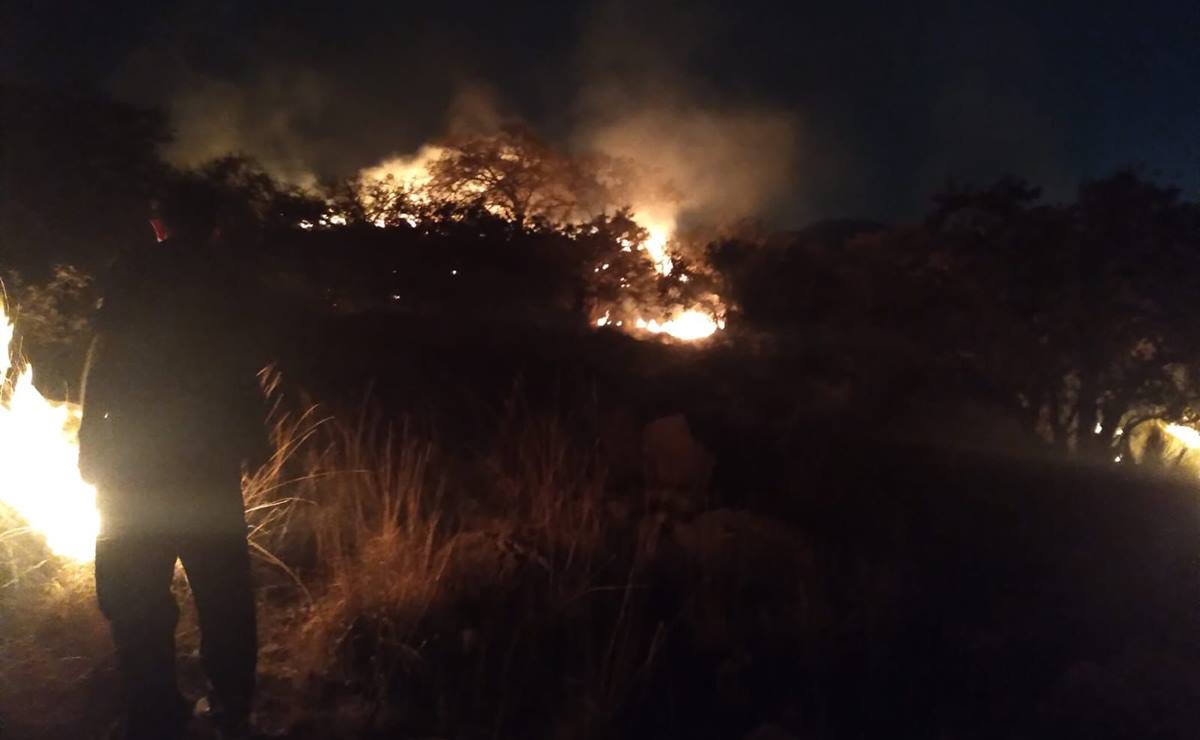 Sofocan incendio forestal en la Sierra de San Miguelito 