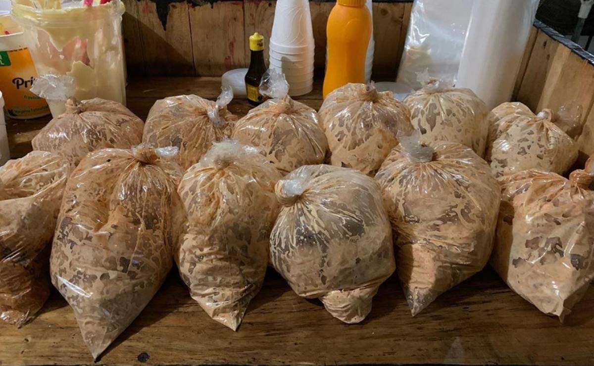 Foto: Tomada de Instagram / Las Marranadas