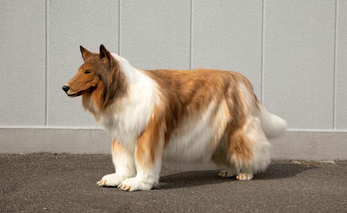El hombre que ha gastado millones para verse como un perro