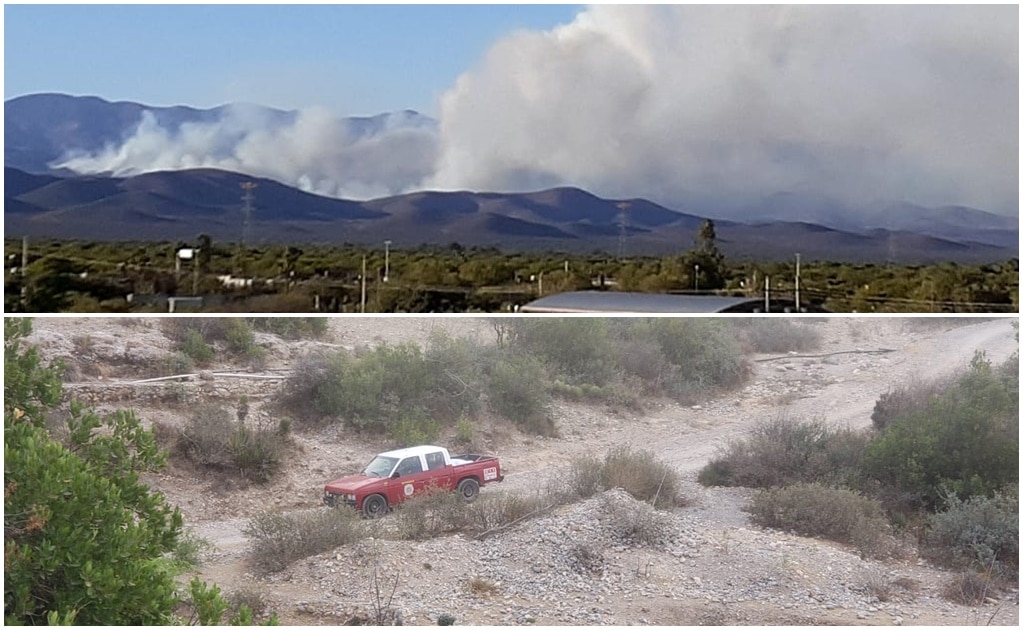 Van más de 300 hectáreas siniestradas por incendio forestal en Villa de Guadalupe