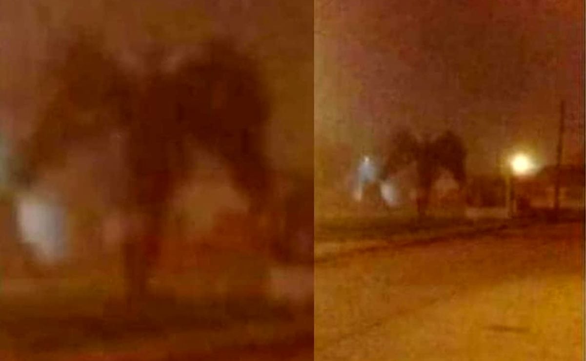 Foto: Tomada de redes