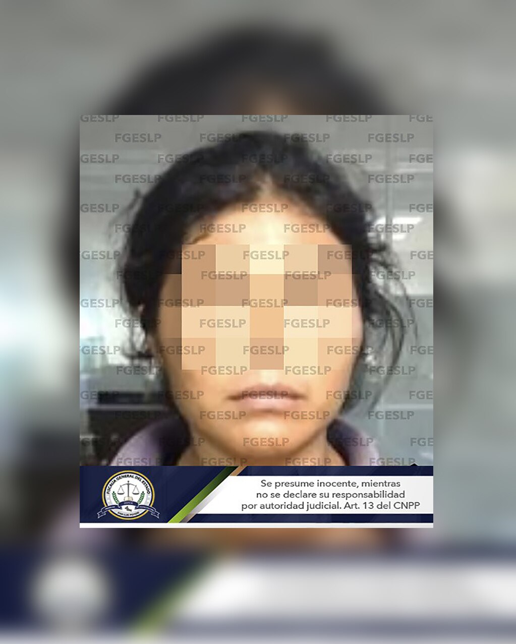 Foto: Fiscalía General del Estado de San Luis Potosí.