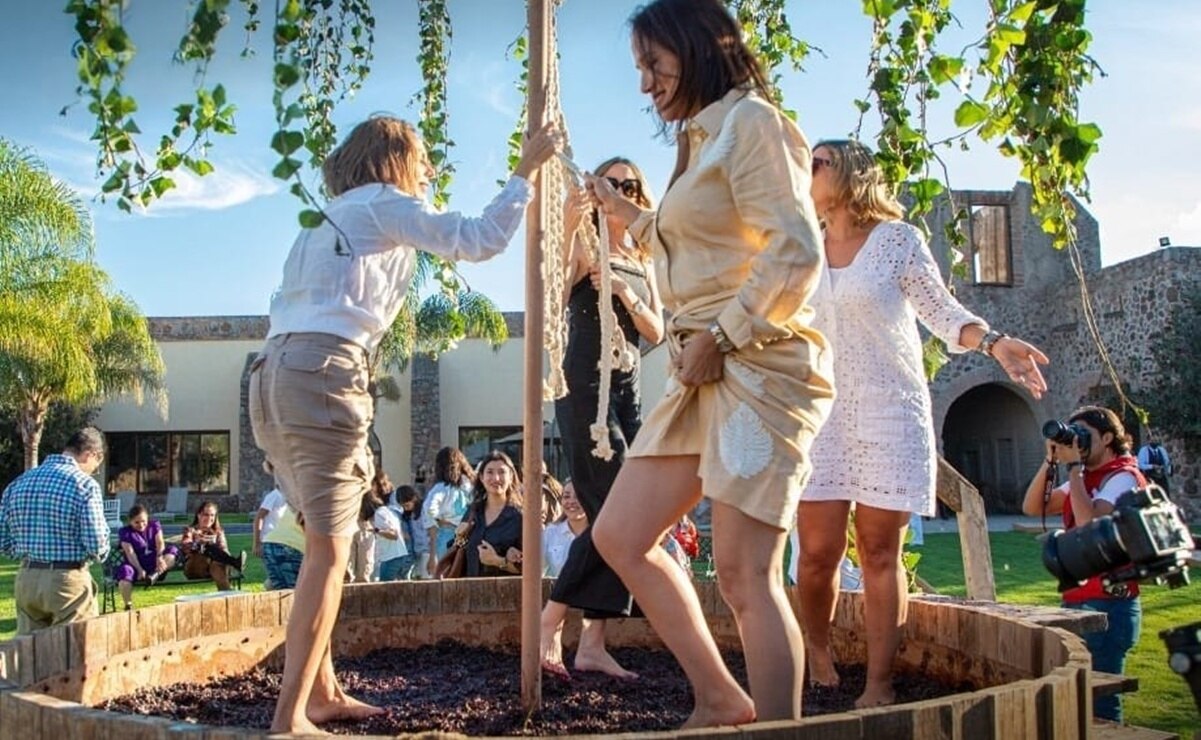 Vendimia 2025 en SLP: Calendario de las fiestas del vino 