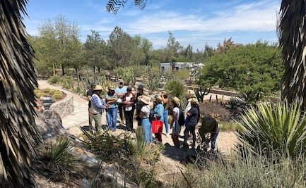 Harvard destaca Arboreto de la UASLP: de estacionamiento a oasis verde en San Luis Potosí 