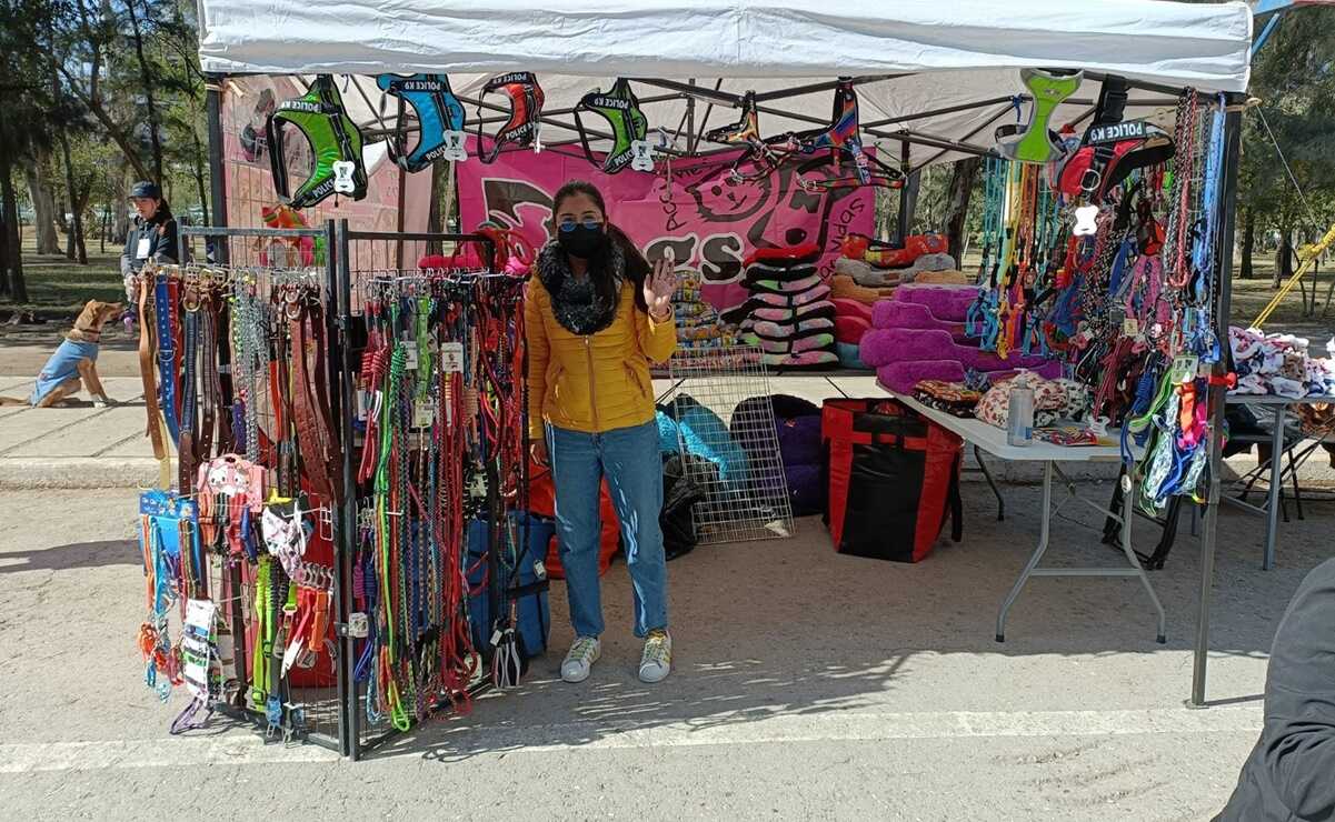 Perritos y gatitos buscan hogar: invitan al tercer Festival de Adopción en SLP. Fotos: Fabiola Juárez