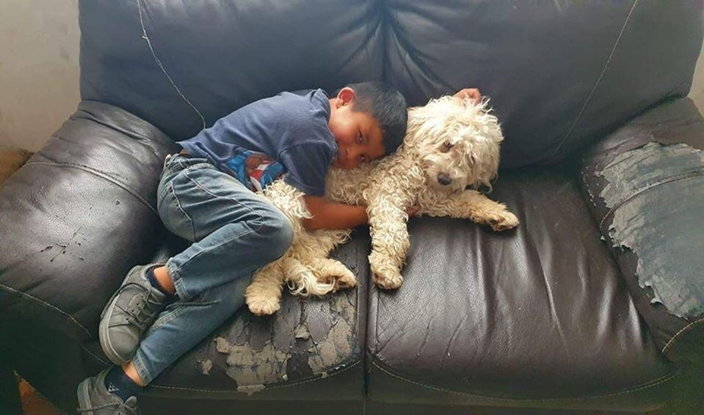 ¡"Ryder" ya está en casa! Localizan al perro de Jonathan