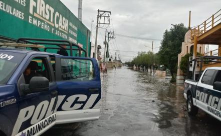 Ocho árboles caídos, el saldo de las últimas lluvias en Soledad