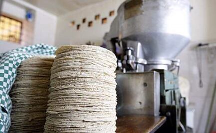 El precio de la tortilla llega hasta los 22 pesos por kilo en SLP 