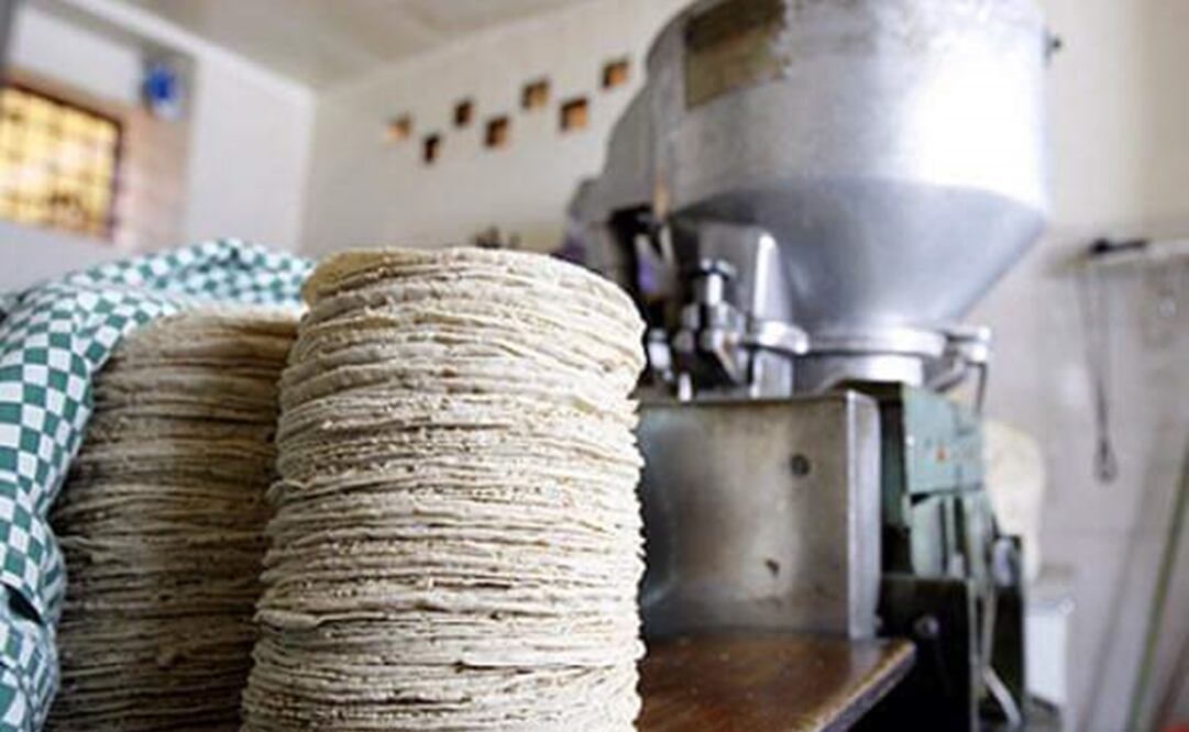 El precio de la tortilla llega hasta los 22 pesos por kilo en SLP. Foto: Especial