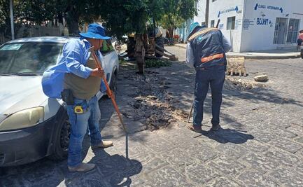 ¡Atención! Anuncian cierres viales en SLP por reparación de drenaje