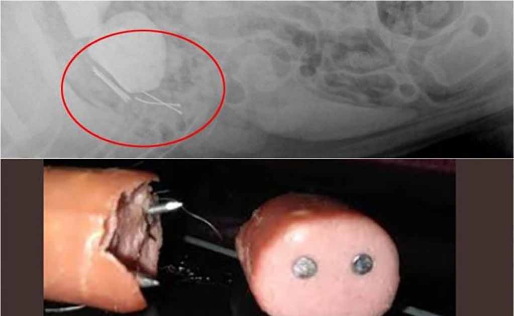 Policía de España alerta por aparición de salchichas con clavos en parques