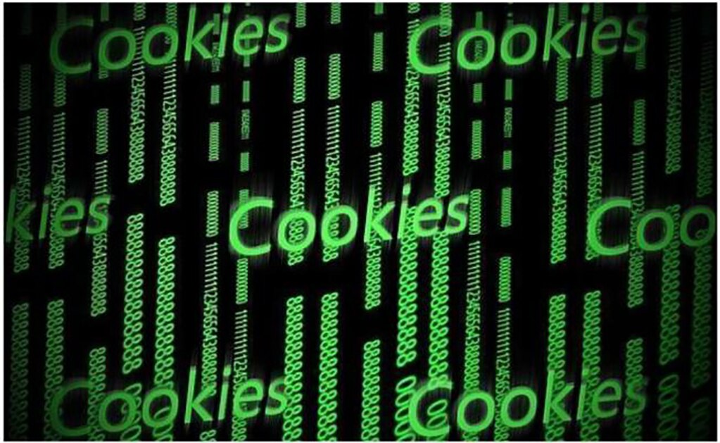 ¿Qué debes saber de las cookies?