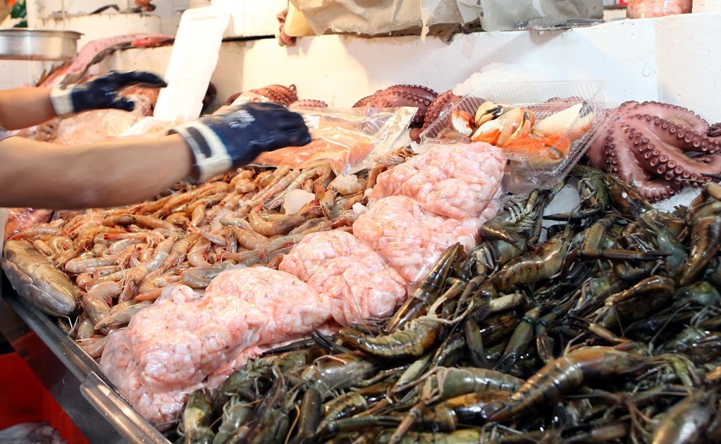 Foto: Archivo. EL UNIVERSAL