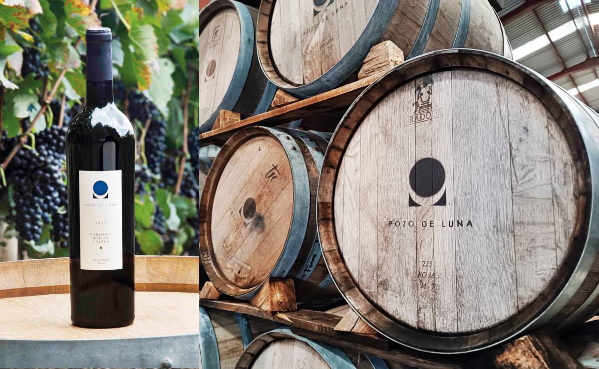 Proyecta Soledad una ruta para promover los mejores vinos de San Luis Potosí