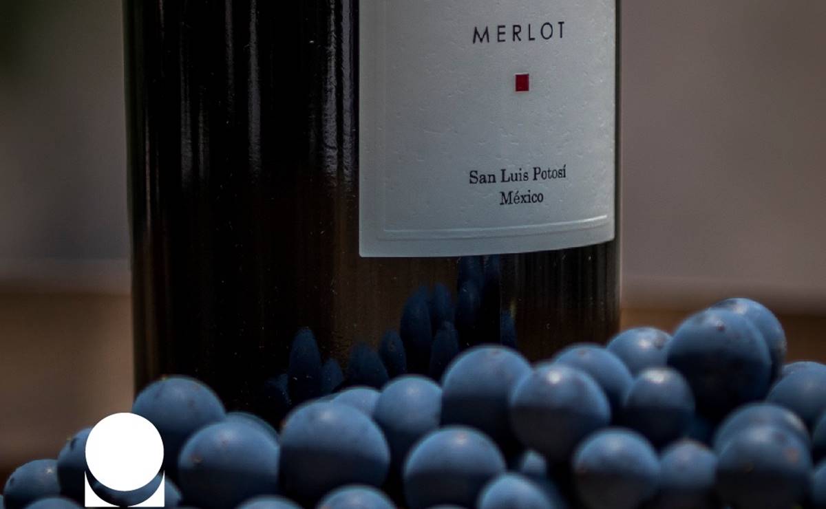 Triunfa nuevamente el vino potosino en el Concours Mondial de Bruxelles 2023