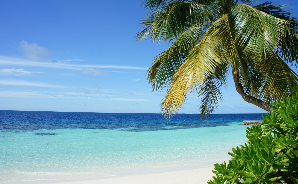 Calendario SEP: ¿Cuándo inicia el megapuente de noviembre y quiénes lo disfrutarán?