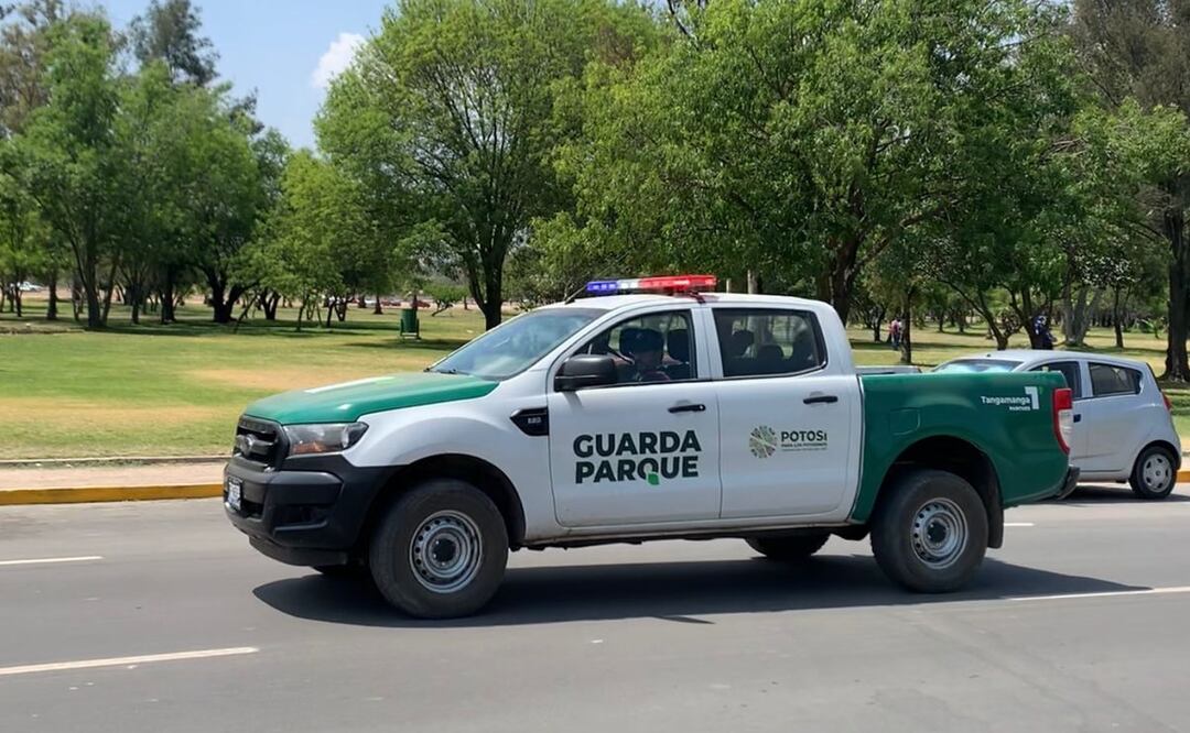 Reportan baja en incidencia delictiva en SLP. Foto: Especial