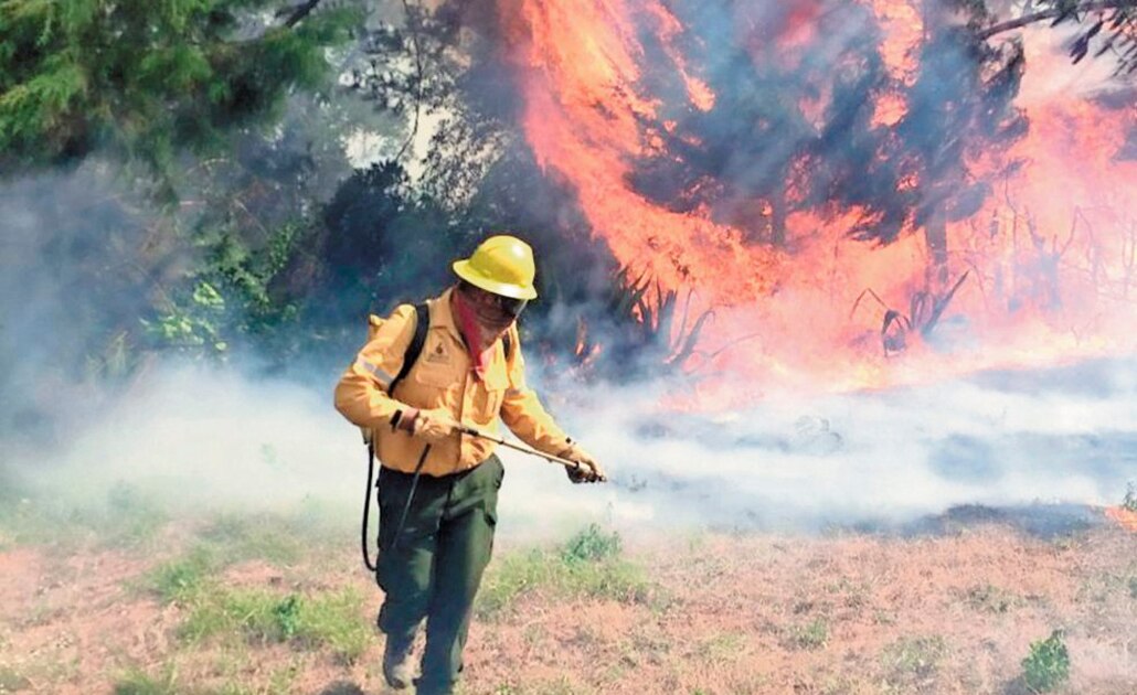 Incendios en México: las llamas consumen 54 mil hectáreas
