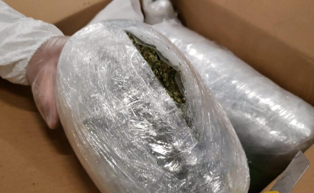 Aseguran tres kilos de marihuana en aeropuerto de San Luis Potosí
