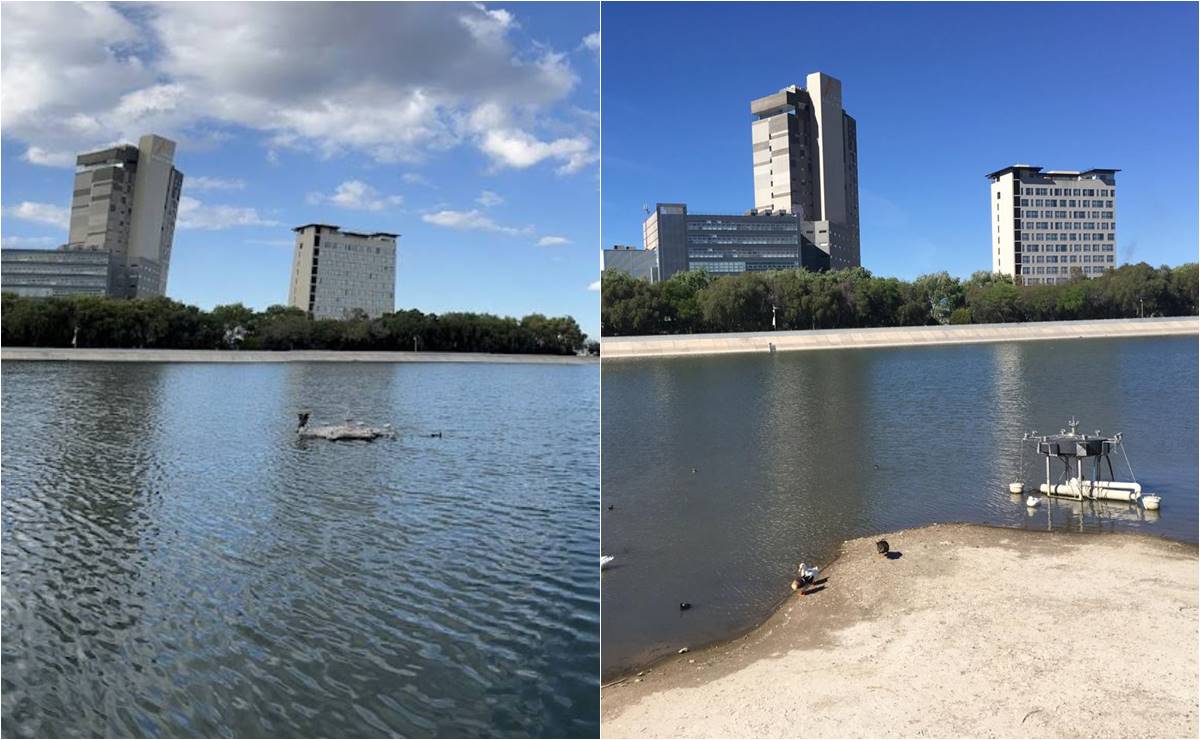 En FOTOS, así lucen hoy los lagos del Parque Tangamanga I por la sequía en SLP