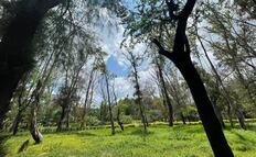 Gallardo y Galindo unirán esfuerzos para devolver el esplendor al Parque de Morales en SLP  