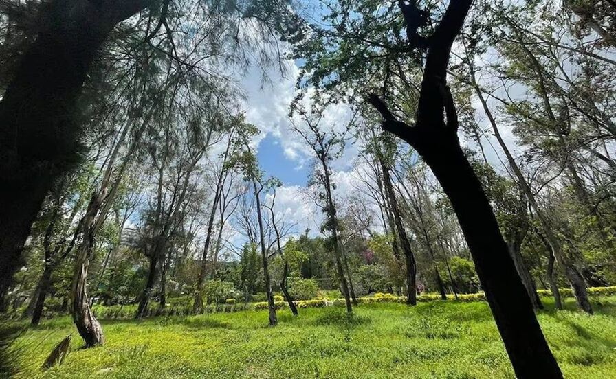 Gallardo y Galindo unirán esfuerzos para devolver el esplendor al Parque de Morales en SLP