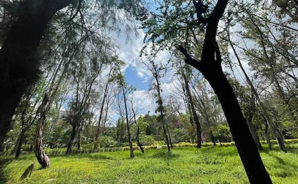 Gallardo y Galindo unirán esfuerzos para devolver el esplendor al Parque de Morales en SLP