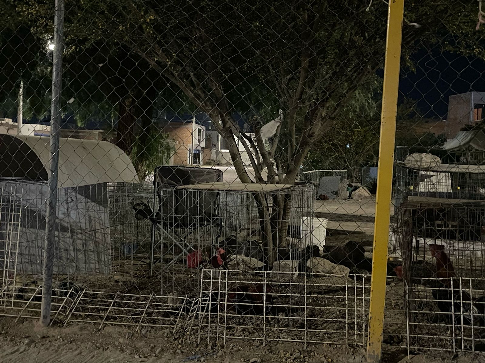 Foto: Humberto Torres