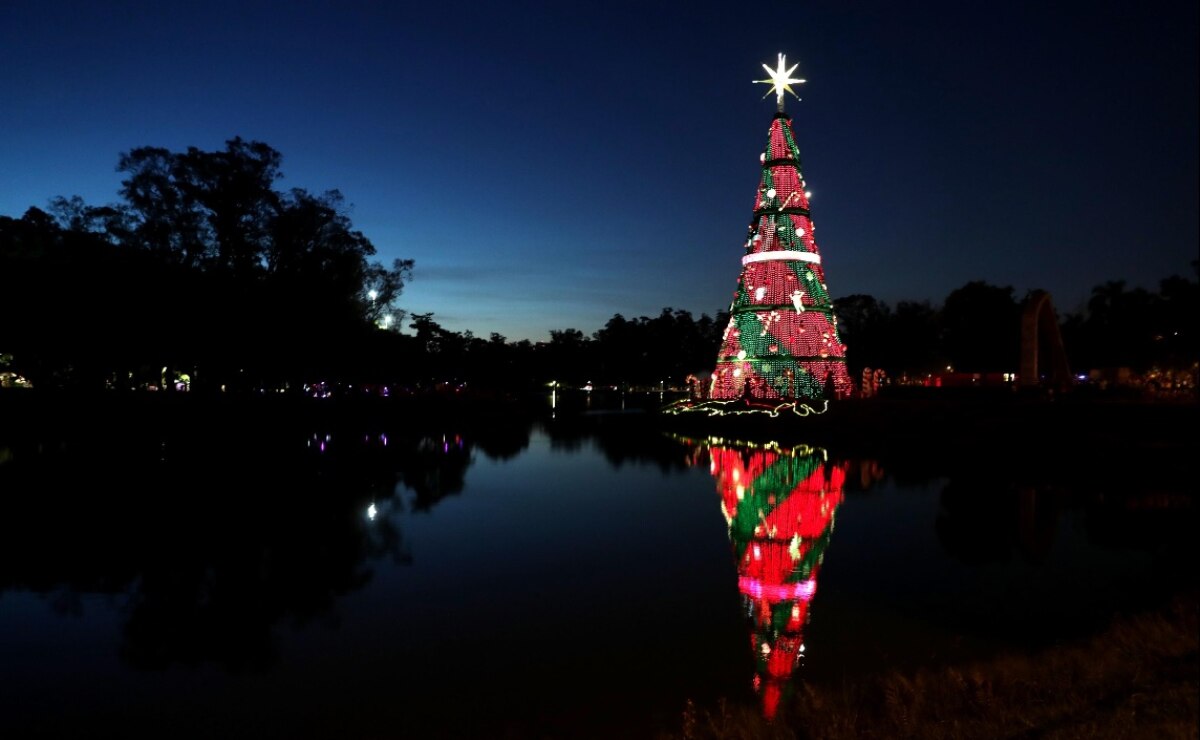 Los seis árboles de Navidad más altos del mundo ¡uno está en México! 