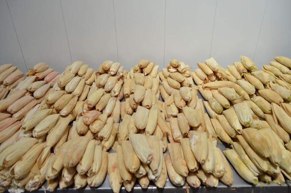 Tamales envueltos en hoja de maíz tradicionales de la Zona Media y la capital de SLP. Foto: Cortesía