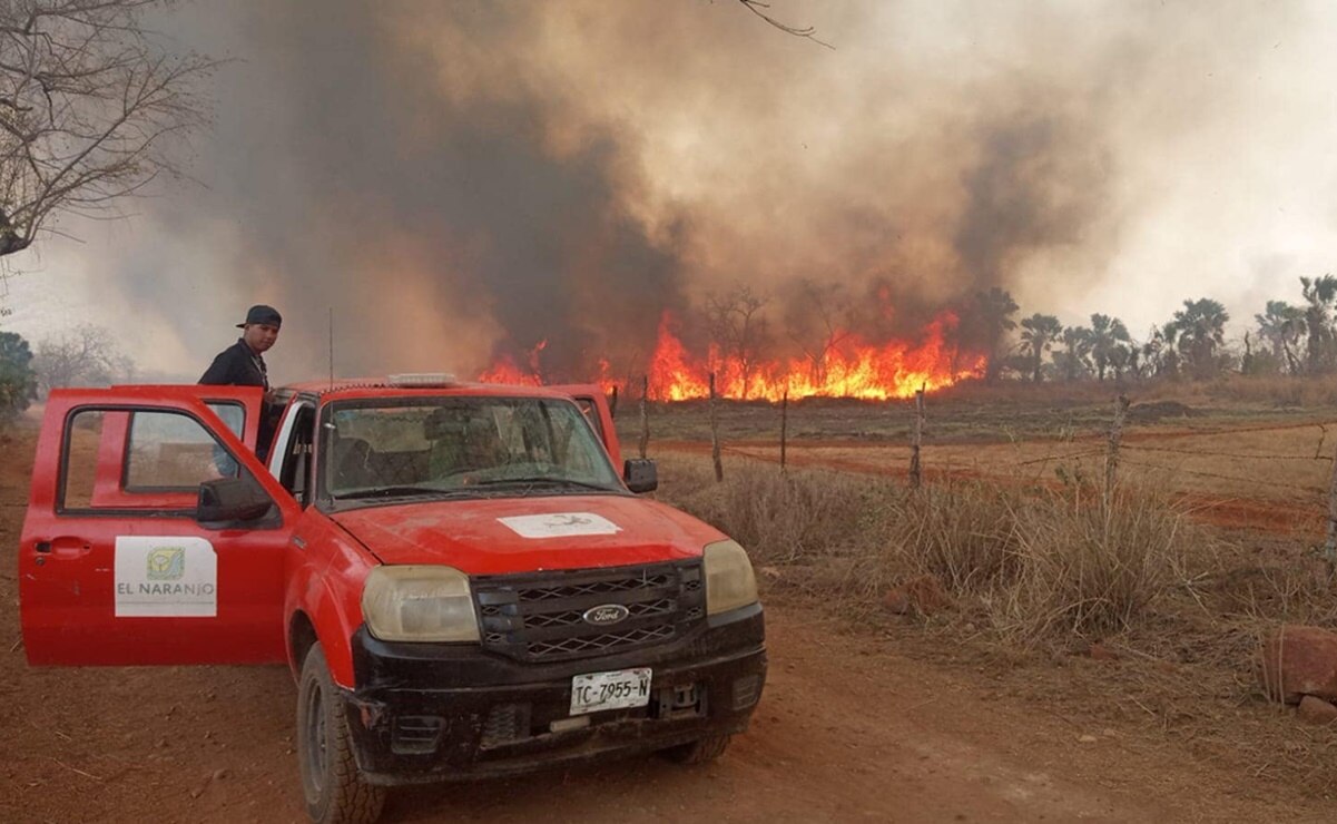 Se activa incendio forestal en El Naranjo