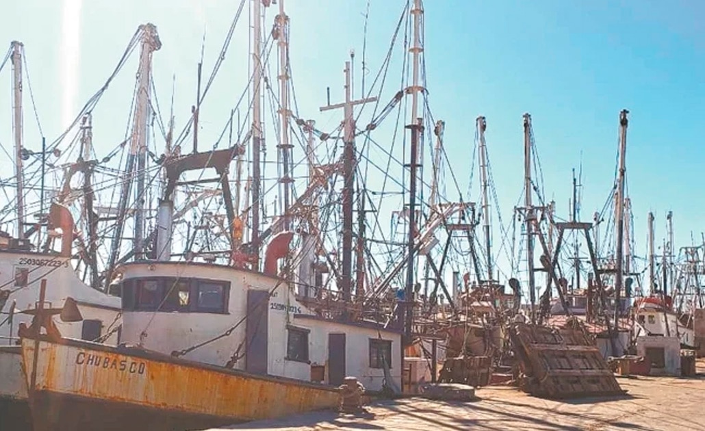 Pesca ilegal puede crecer por recortes de la 4T