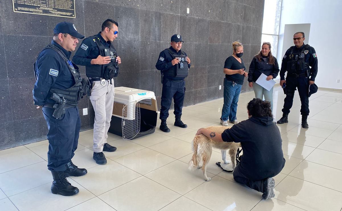 Regresa con su familia perrita que fue rescatada de señalética en capital de SLP. Foto: Especial