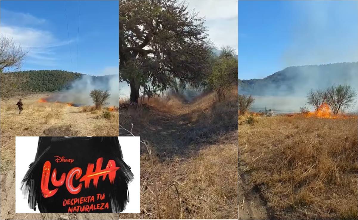 Acusan a producción de Disney de incendiar deliberadamente 10 hectáreas durante rodaje de serie en SLP