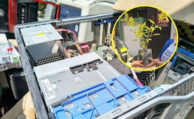 ¡No los tires! Cambia tus electrónicos viejos por árboles en Soledad 