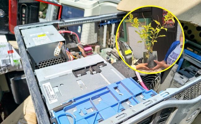 ¡No los tires! Cambia tus electrónicos viejos por árboles en Soledad 