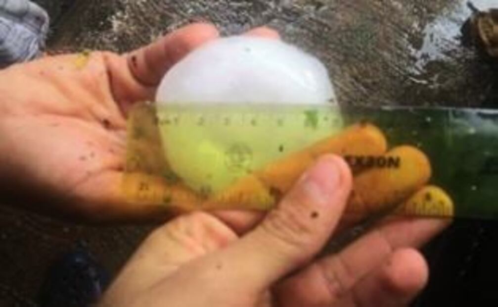 Sólo daños materiales dejó fuerte granizada en la Huasteca Potosina: PC