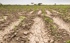 Lluvias de este año han incrementado reservas ante posible sequía y afectaciones en el campo: Gobierno de SLP