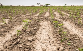 Lluvias de este año han incrementado reservas ante posible sequía y afectaciones en el campo: Gobierno de SLP