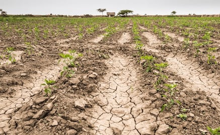 Lluvias de este año han incrementado reservas ante posible sequía y afectaciones en el campo: Gobierno de SLP