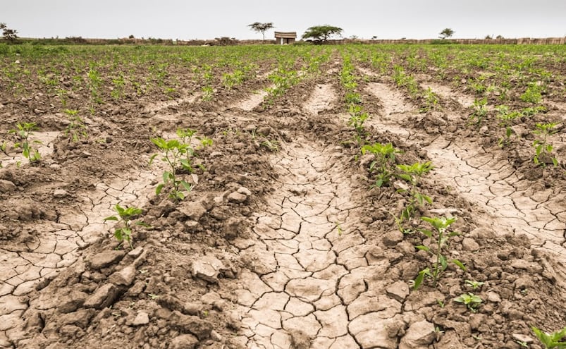 Lluvias de este año han incrementado reservas ante posible sequía y afectaciones en el campo: Gobierno de SLP