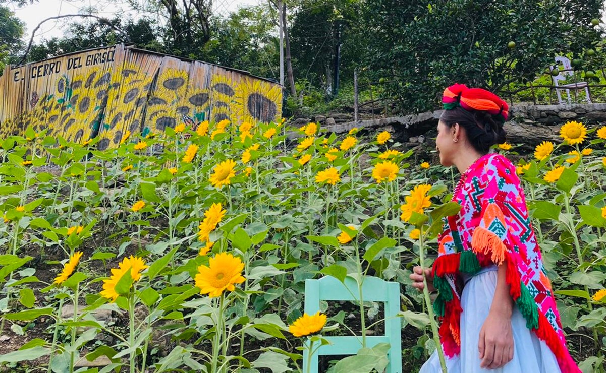 El Cerro del Girasol se ha convertido en un gran atractivo turístico de SLP. Foto: Especial