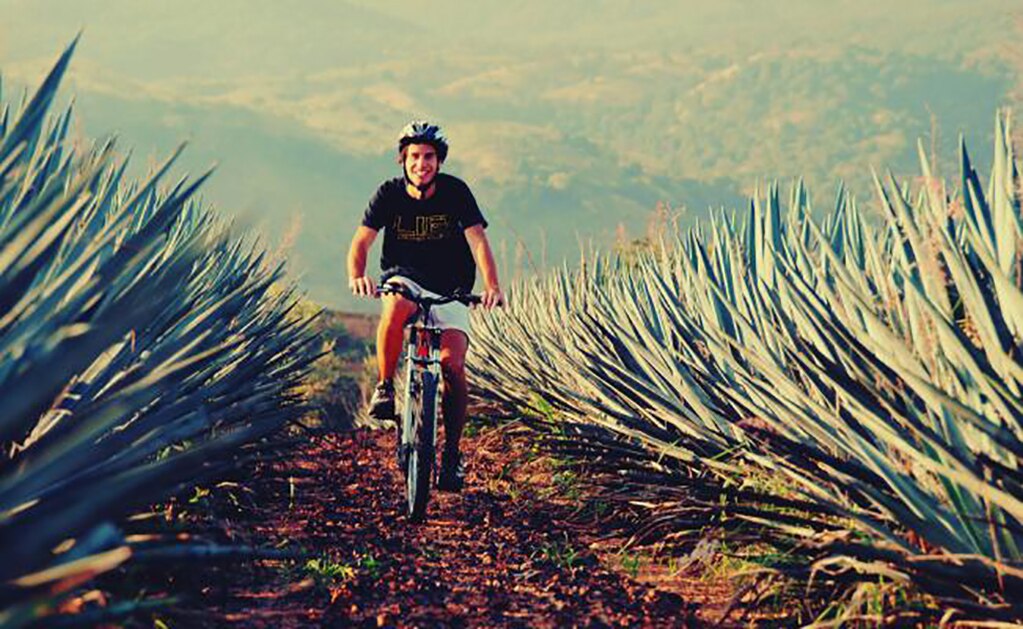 Cuándo y cómo se celebrará el primer Día Nacional del Tequila