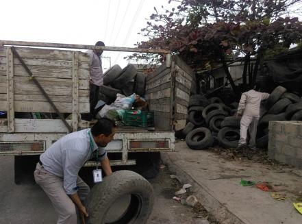 SLP acumula 85 casos de dengue: Secretaría de Salud