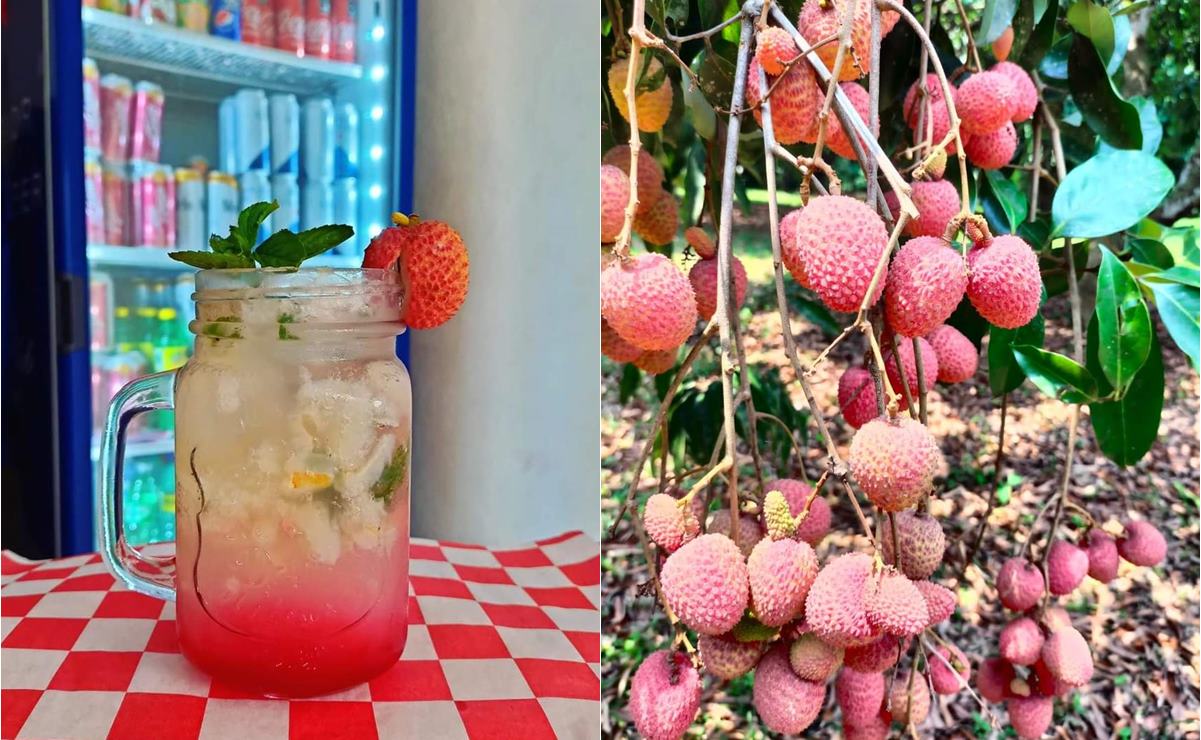 Foto: Redes sociales Huichihuayán Huehuetlán San Luis Potosí